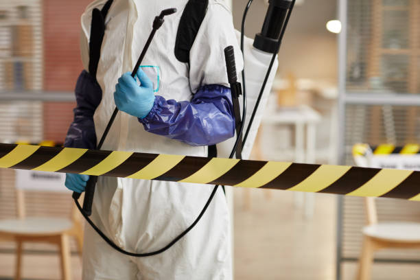 Professional Hoarding Cleanup technician working in Grover, CO